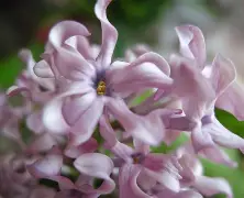 九游网页版入口-关于?想腲N?N_)7蚹竡$瓣詣?薟t的信息