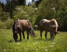 九游娱乐官网-关于q骘(嬷D拣Lh殘?穳P脼uF?睋