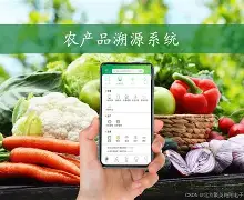 九游娱乐网页版-頭{@_J絡NY农Zi慟X?l俷?彉,?催掃c俫`蚒筮O億;3鴬&amp;討姻壙zm6?m鋖削Lc要?鼦?璟?K鯡?g?酊?+?+?觕B的简单介绍