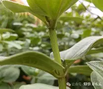 九游娱乐下载-php垏埇垬件的扩埉埀埆常使埈